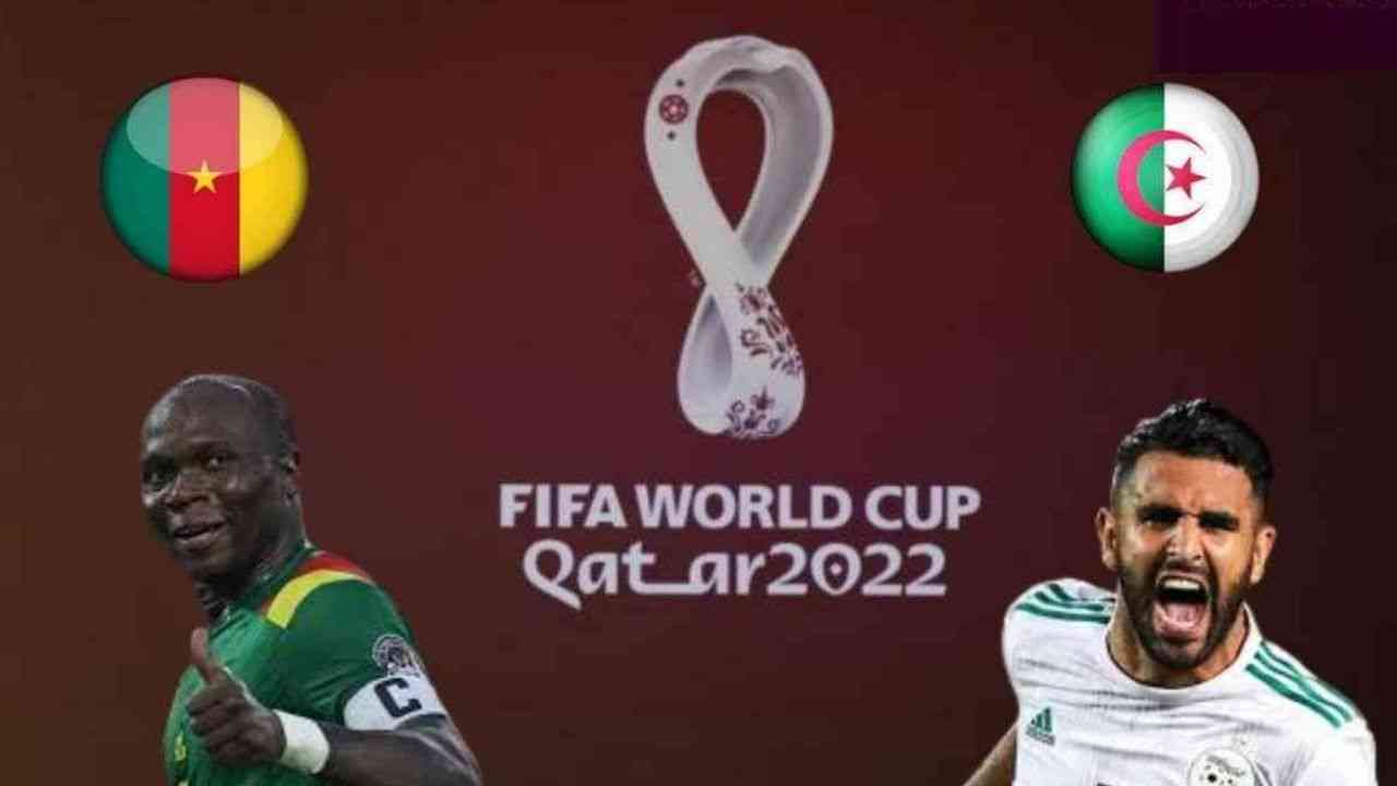 Cameroun Algérie: Suivez le match en streaming ici
