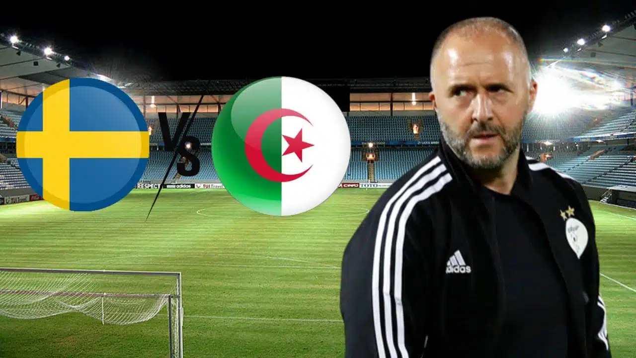 Algérie-Suède : Belmadi évoque ses attentes