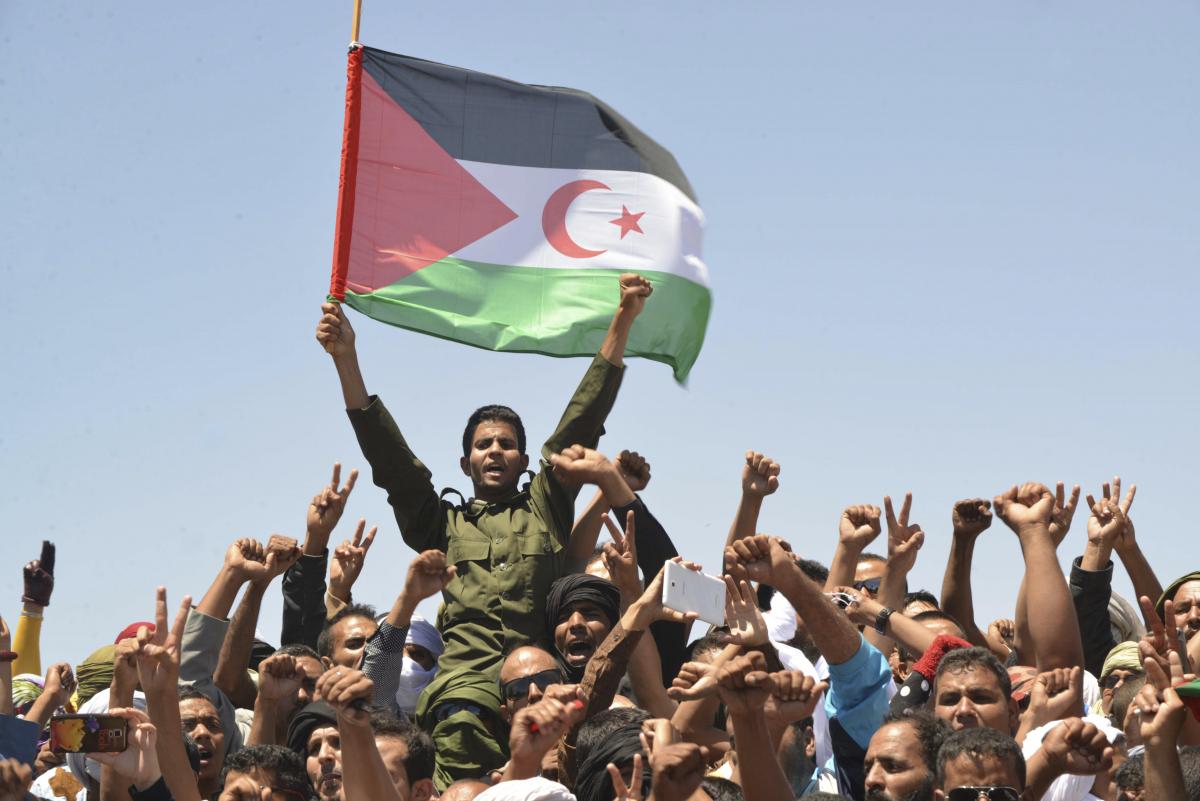 L'Algérie et le Polisario se Réunissent à Alger : Renforcement des Liens Diplomatiques dans la Quête d'une Solution au Conflit du Sahara Occidental