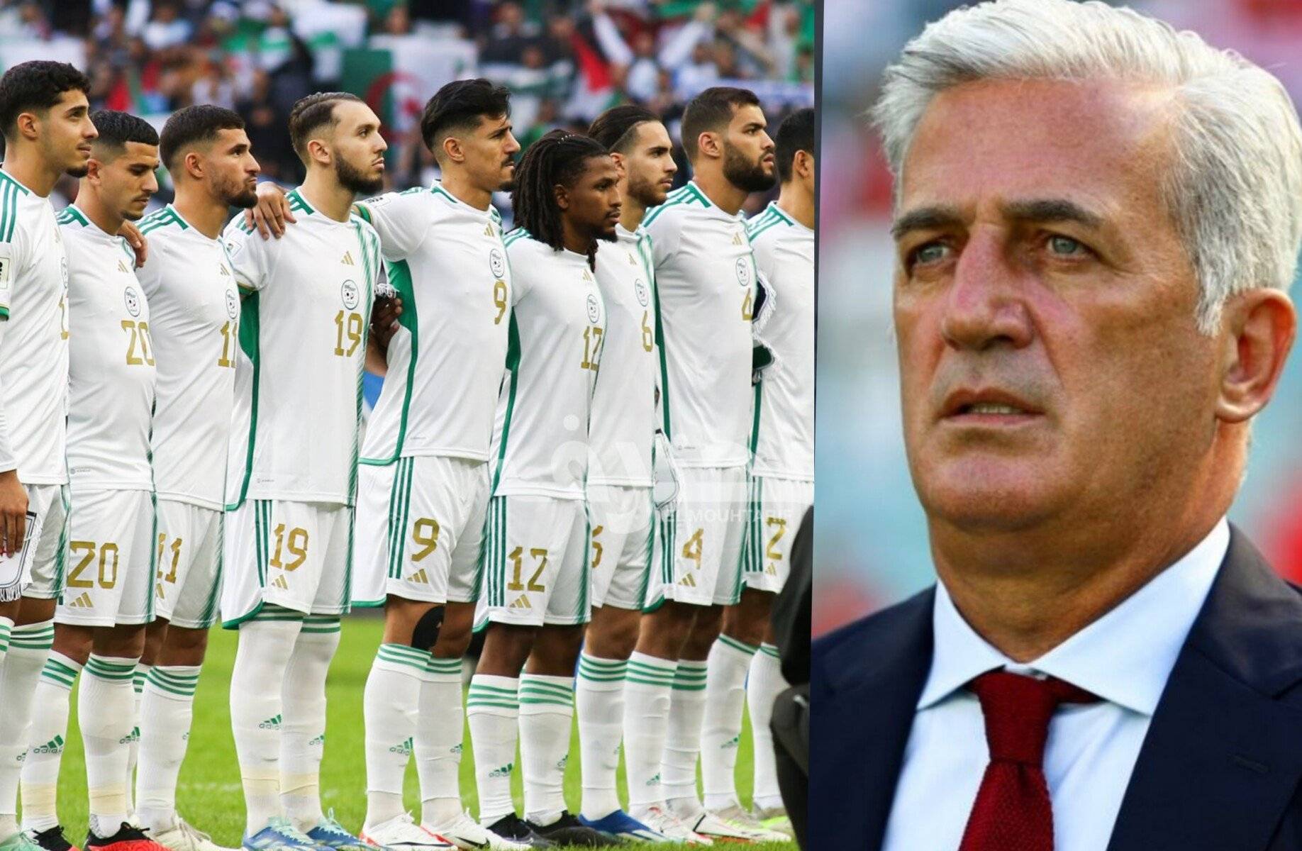 Nouveaux horizons : Les plans ambitieux de Vladimir Petkovic pour l'Équipe d'Algérie