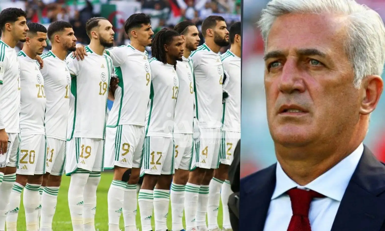 Algérie – Afrique du Sud : Dernier match pour un entraîneur emblématique
