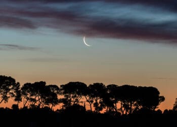 Vénus et la Lune s’unissent dans le ciel ce 5 novembre 2024